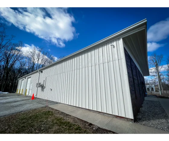 Dino Office Commercial Painting After